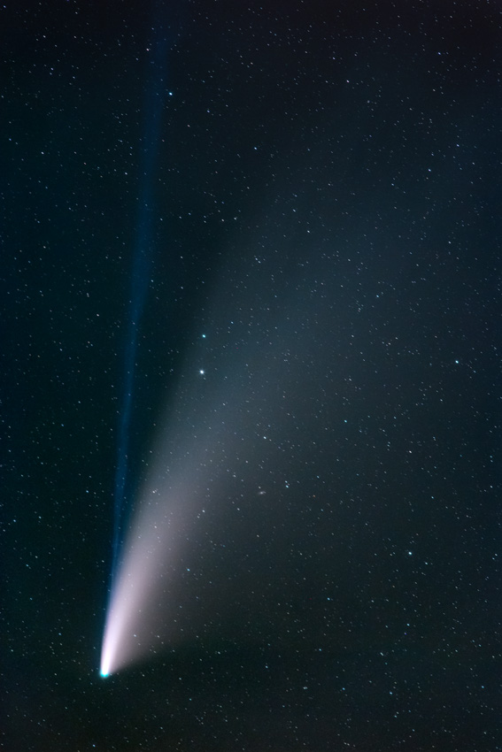 Bild des Kometen Neowise in der Astroecke