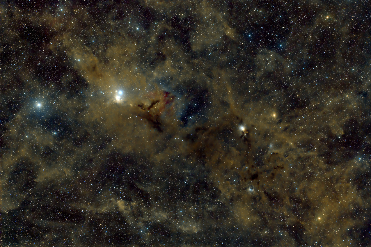Bild von IC348 und NGC1333 in der Astroecke