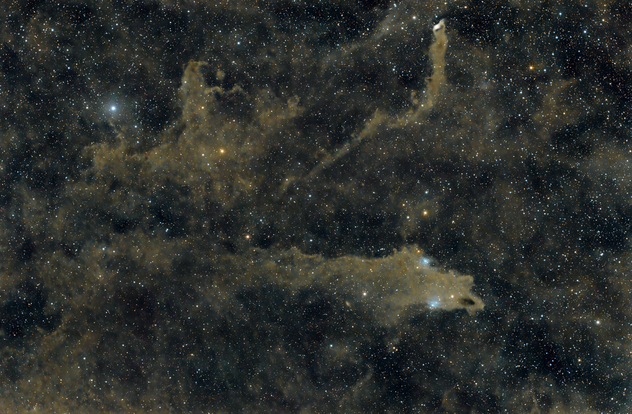 Bild von LDN1235 Shark Nebula in der Astroecke