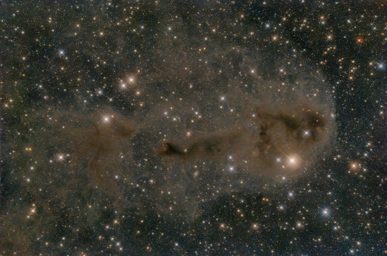 Bild von LDN 1251 in der Astroecke