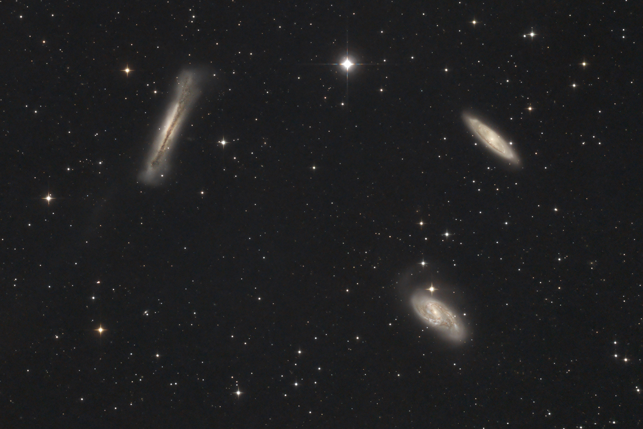 Bild von Leo-Triplett in der Astroecke