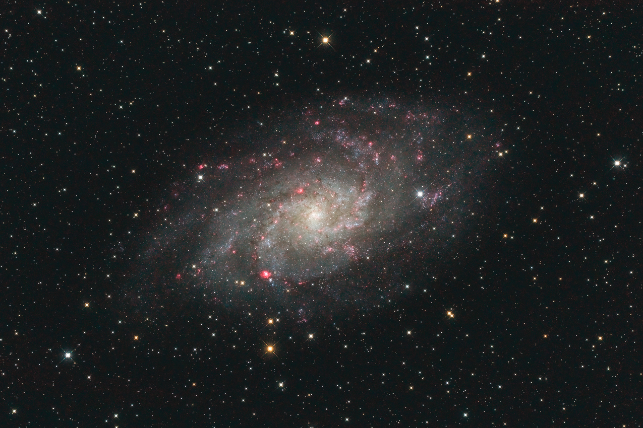 Bild von M33 in der Astroecke