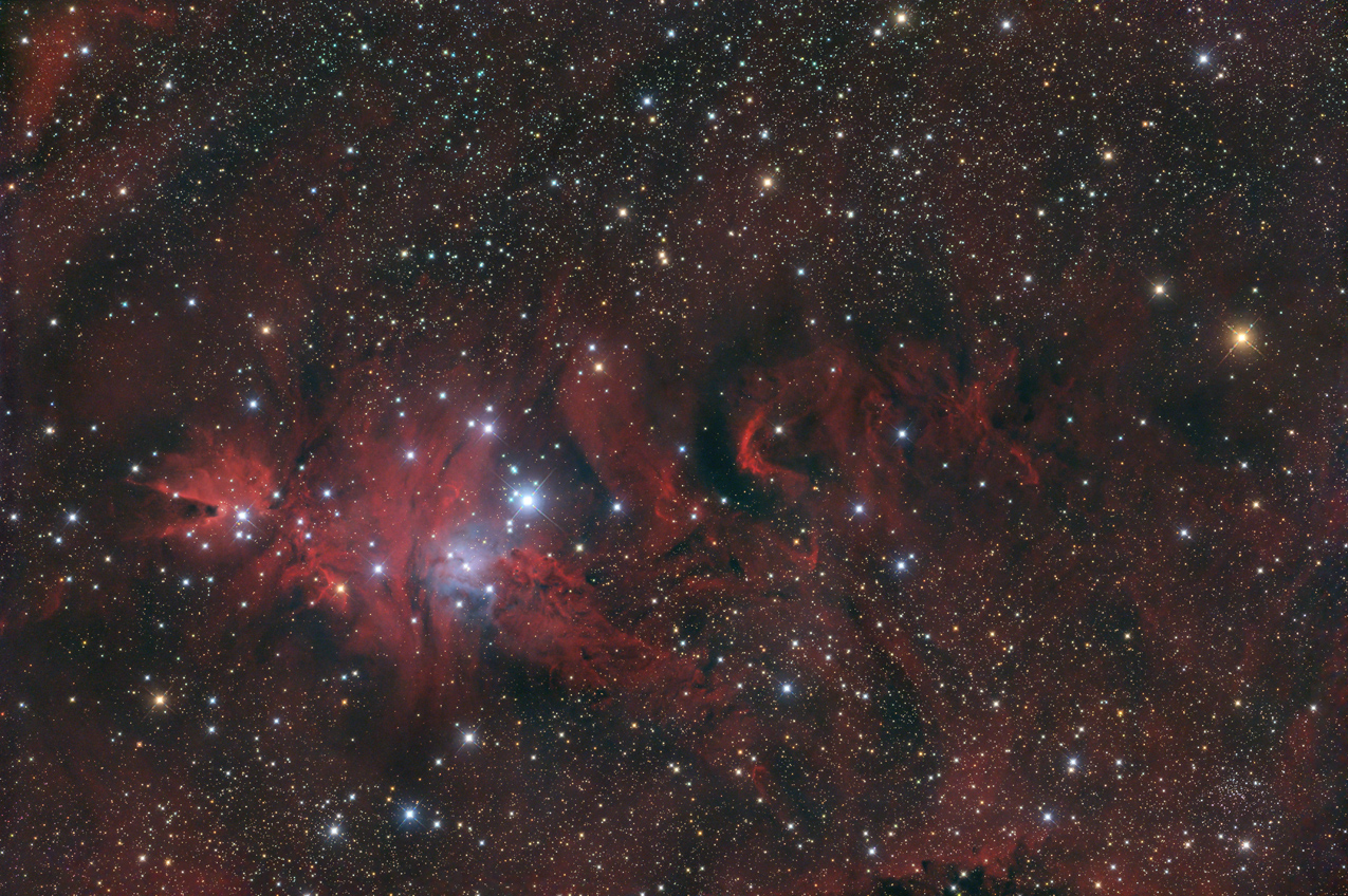 Bild von NGC2264 in der Astroecke