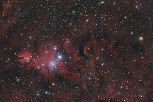 MGC2264 in Rainer Mannoffs Astroecke
