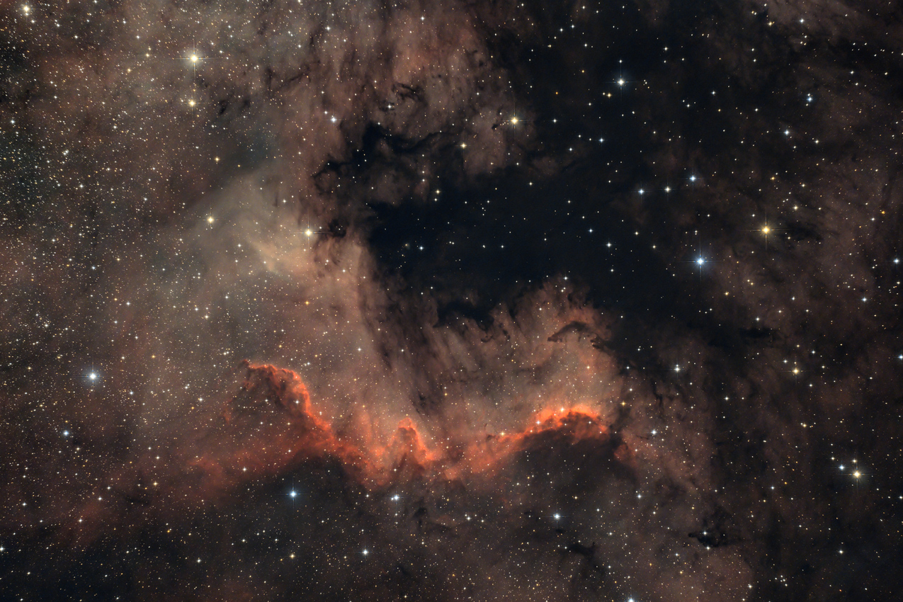 Bild von NGC7000 Cygnus Wall in der Astroecke